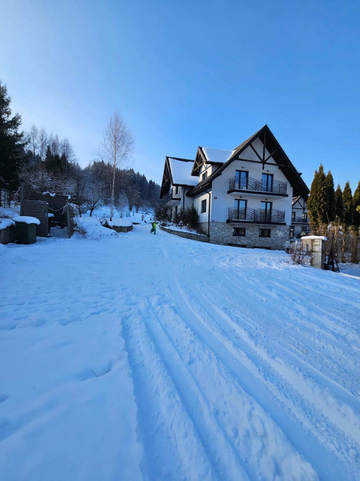 Otulina Park Bed & Breakfast Szczawnica Dış mekan fotoğraf