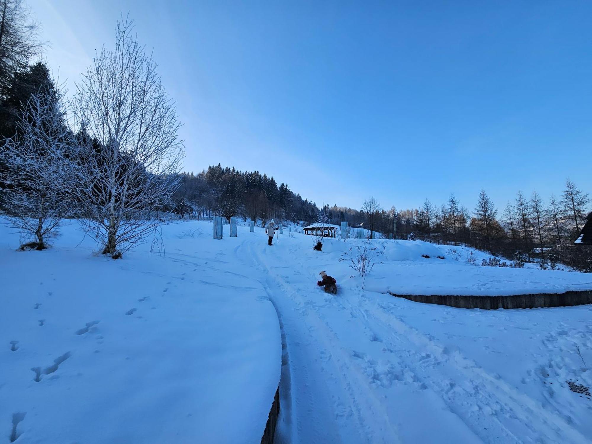 Otulina Park Bed & Breakfast Szczawnica Dış mekan fotoğraf
