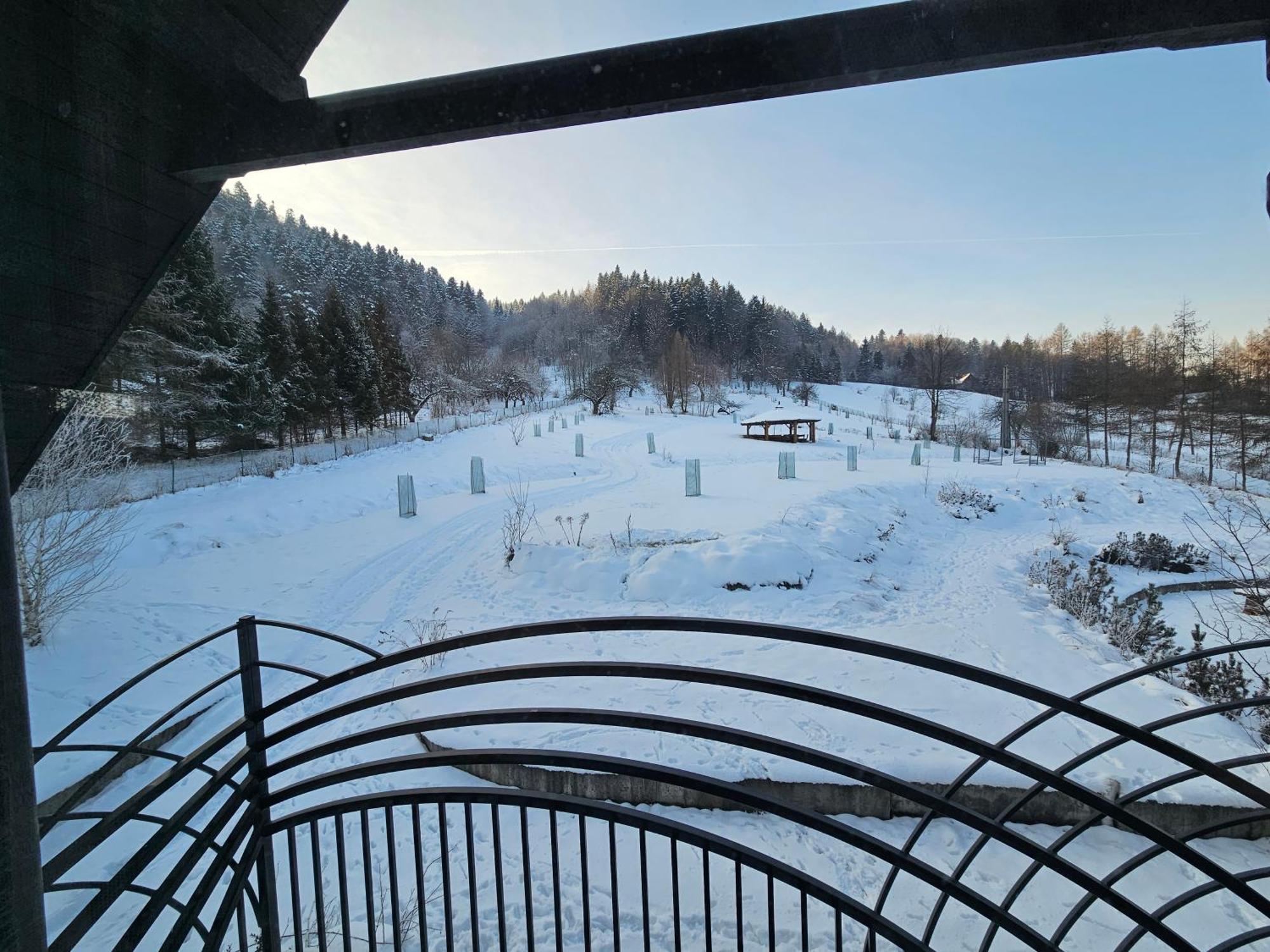 Otulina Park Bed & Breakfast Szczawnica Dış mekan fotoğraf