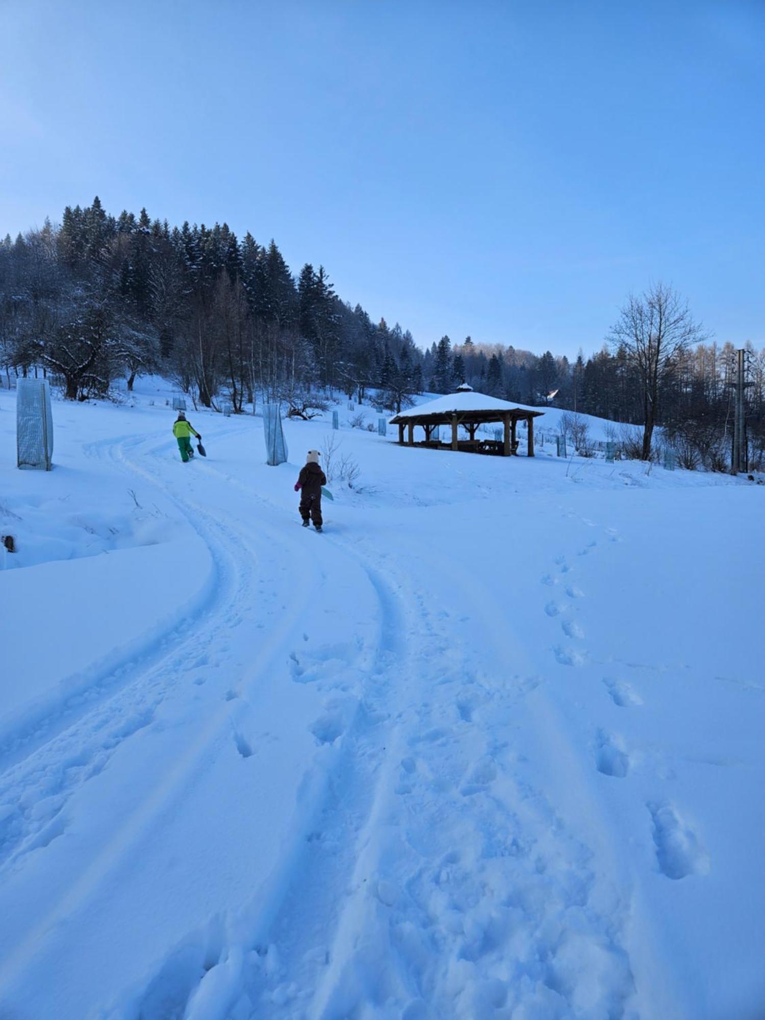 Otulina Park Bed & Breakfast Szczawnica Dış mekan fotoğraf