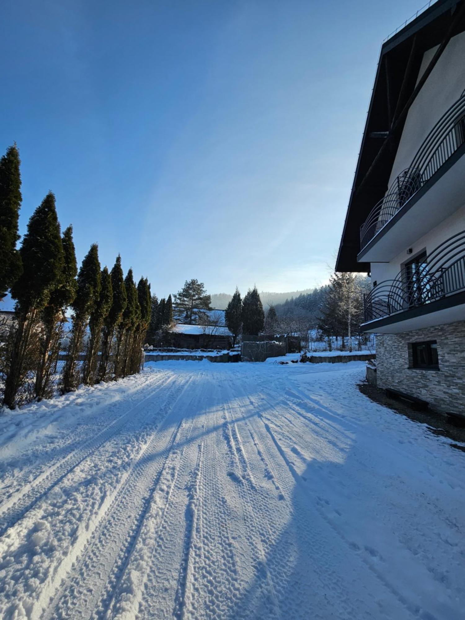 Otulina Park Bed & Breakfast Szczawnica Dış mekan fotoğraf
