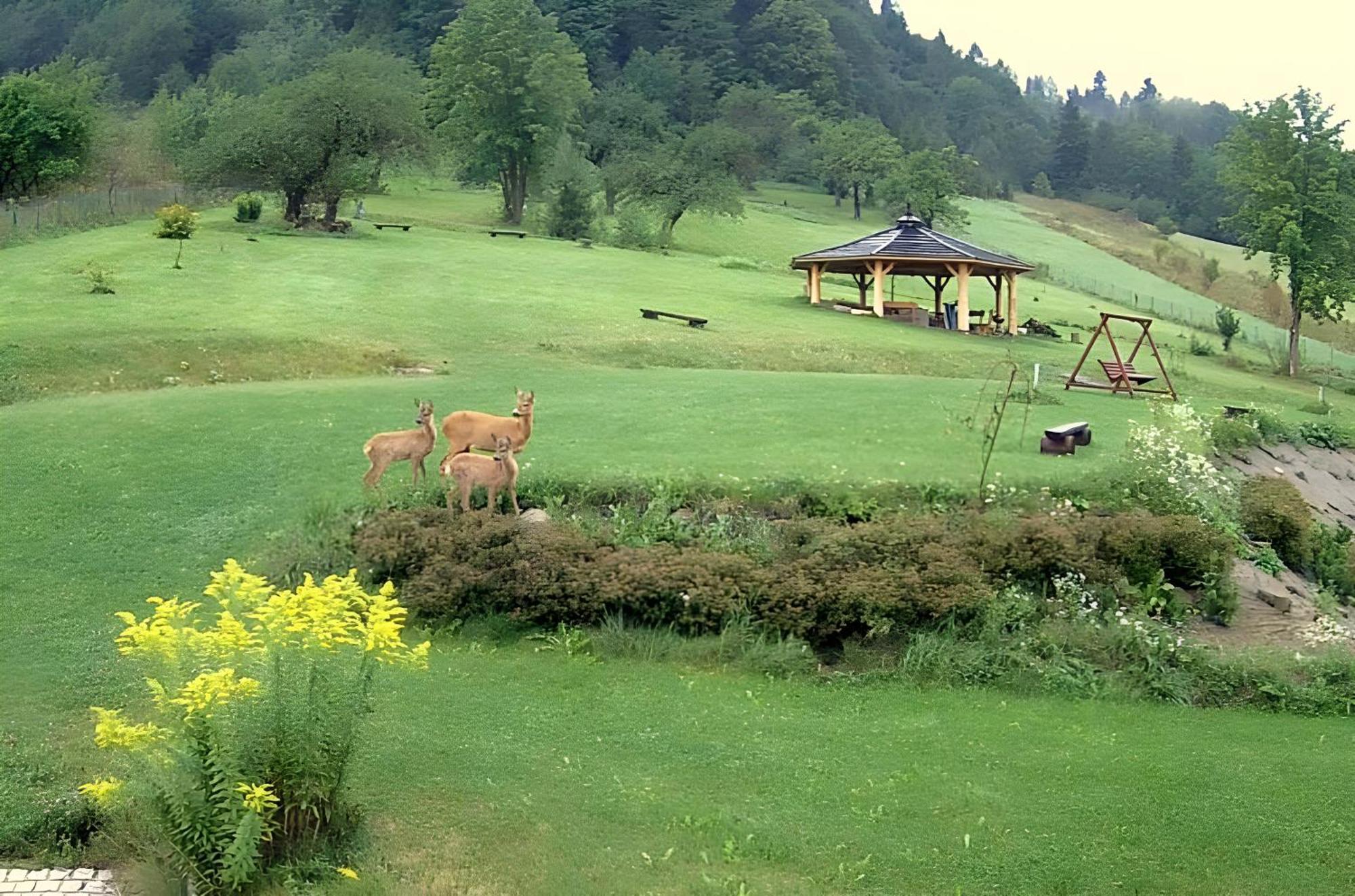 Otulina Park Bed & Breakfast Szczawnica Dış mekan fotoğraf