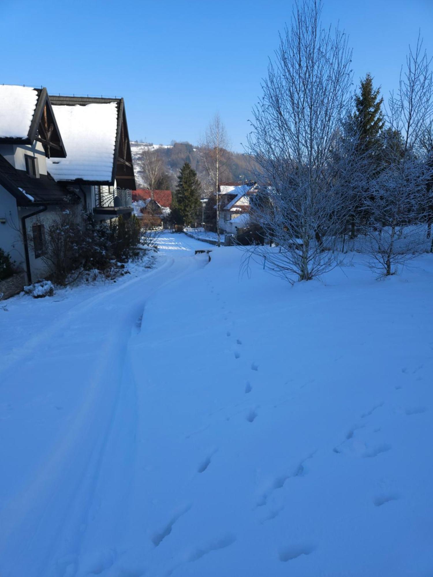Otulina Park Bed & Breakfast Szczawnica Dış mekan fotoğraf
