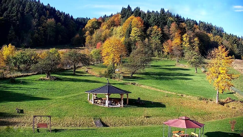 Otulina Park Bed & Breakfast Szczawnica Dış mekan fotoğraf